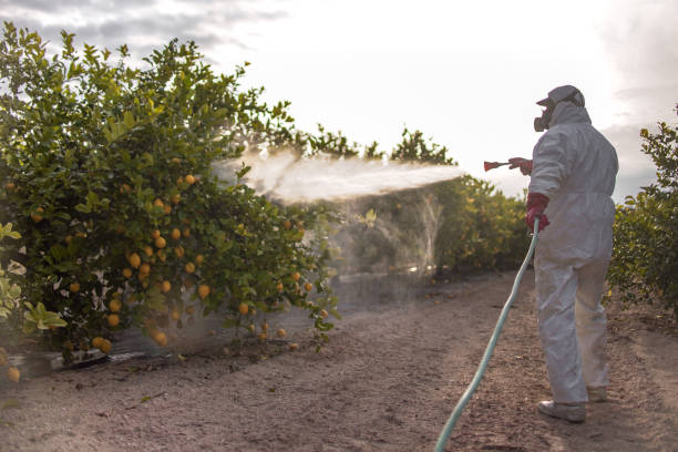 Best Best Pest Control Companies  in Hamlin, WV