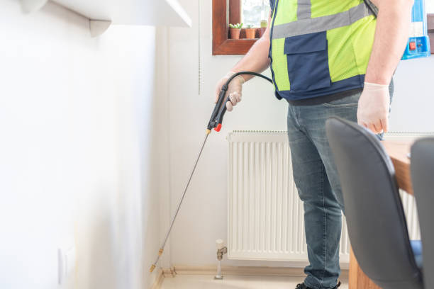 Professional Pest Control in Hamlin, WV