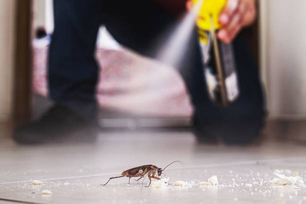 Best Exterminator Services  in Hamlin, WV